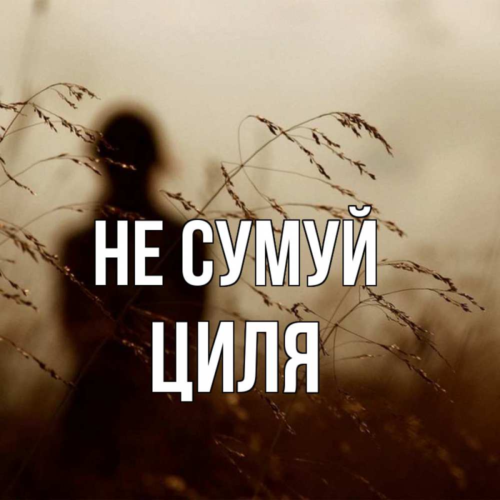 Открытка на каждый день з підписом, Циля Не сумуй грусть Прикольна листівка з побажанням онлайн скачати безкоштовно 