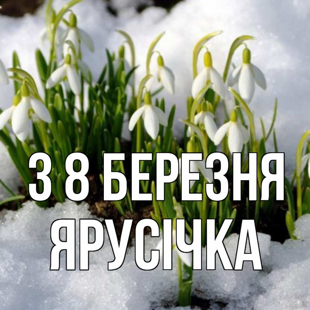 Открытка на каждый день з підписом, Ярусічка З 8 БЕРЕЗНЯ цветы весенние Прикольна листівка з побажанням онлайн скачати безкоштовно 