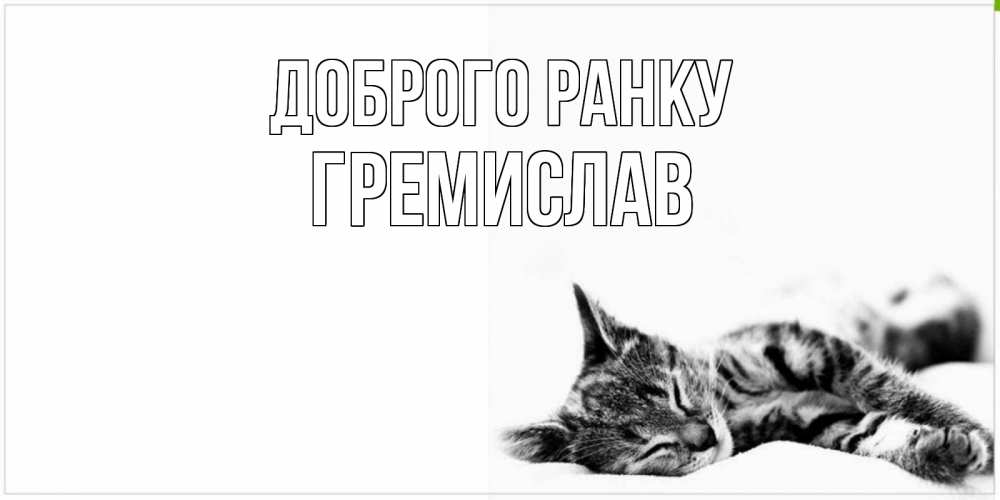 Открытка на каждый день з підписом, Гремислав Доброго ранку котуся Прикольна листівка з побажанням онлайн скачати безкоштовно 