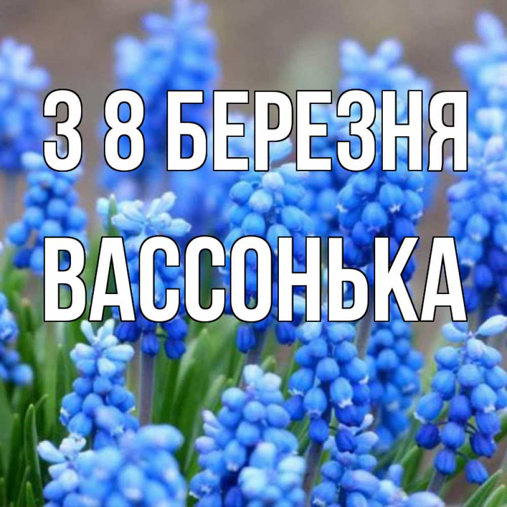 Открытка на каждый день з підписом, Вассонька З 8 БЕРЕЗНЯ Поздравительная открытка для женщин с цветами на праздничную дату Прикольна листівка з побажанням онлайн скачати безкоштовно 