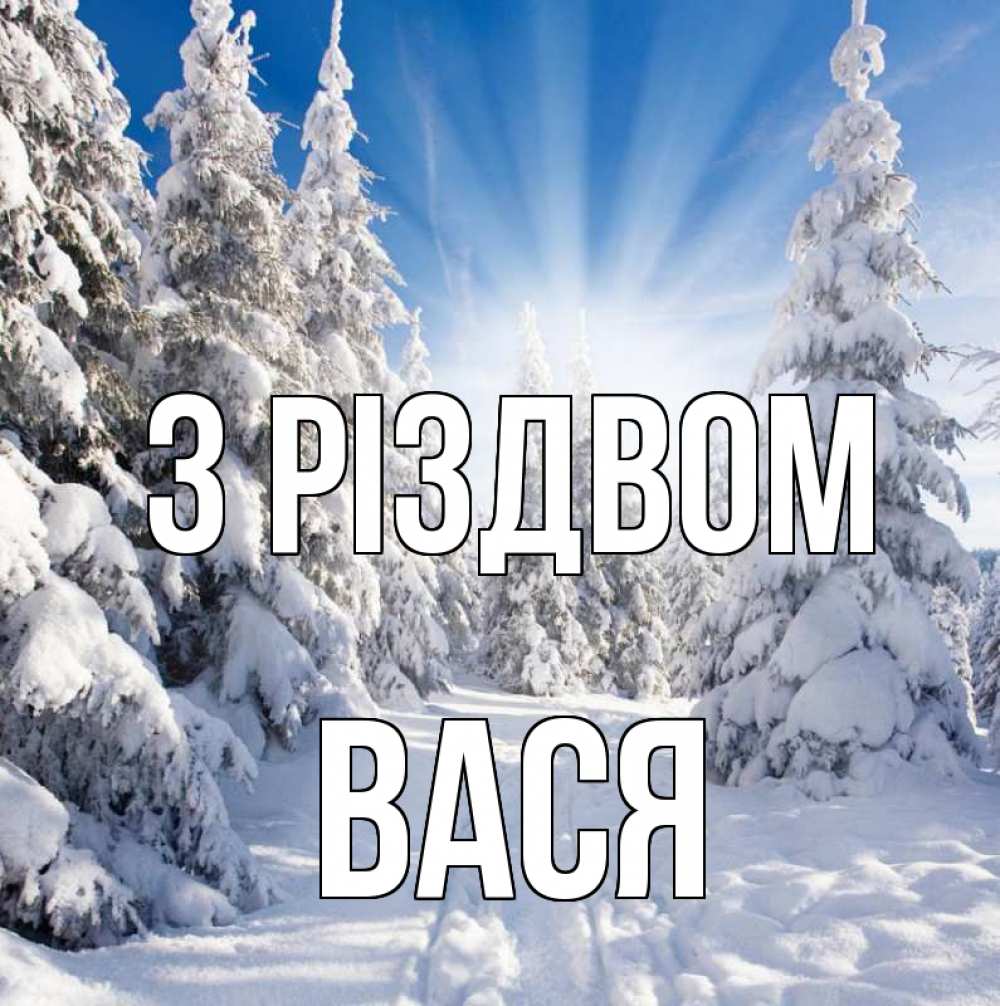 Открытка на каждый день з підписом, Вася З Різдвом зима, лес Прикольна листівка з побажанням онлайн скачати безкоштовно 