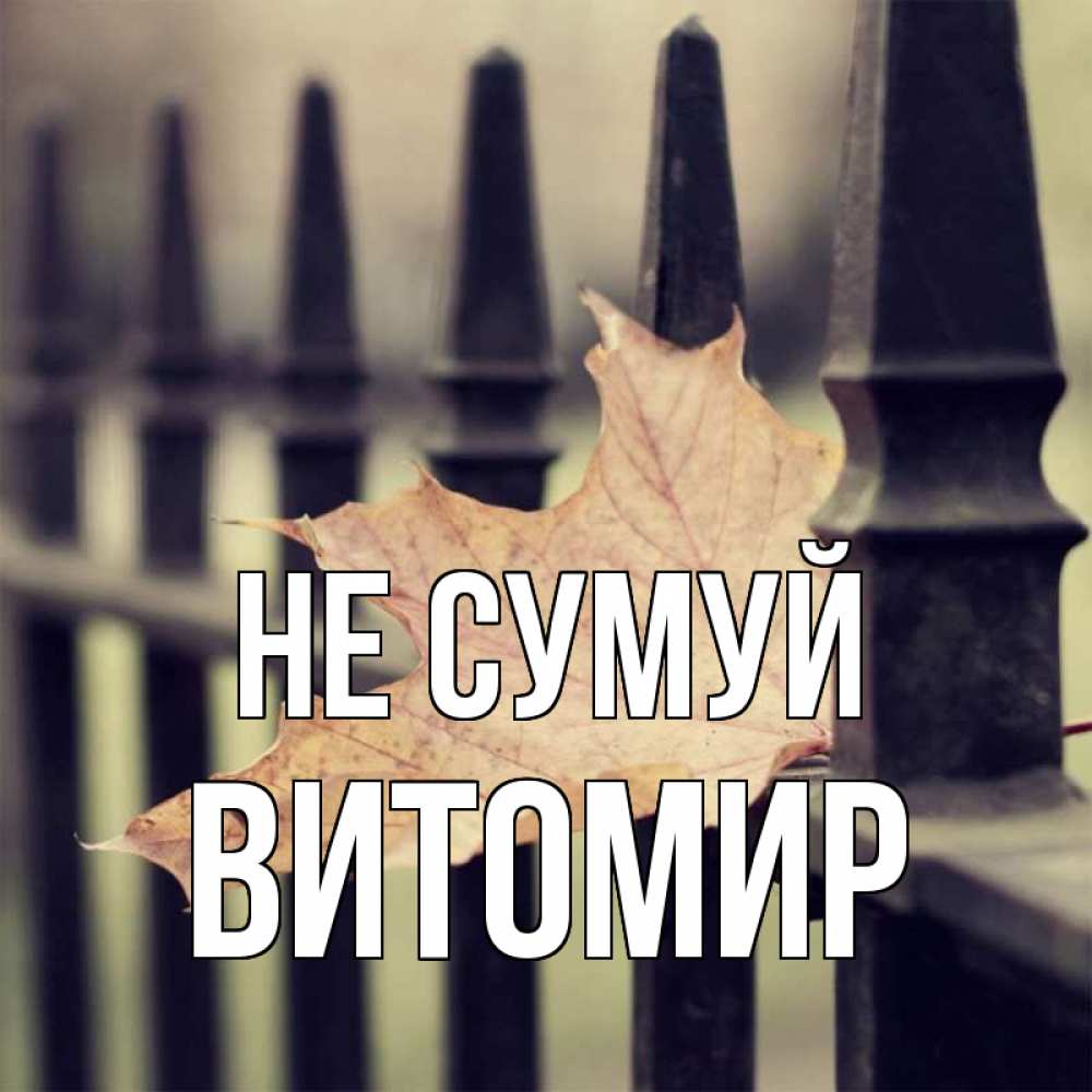 Открытка на каждый день з підписом, Витомир Не сумуй лист клена Прикольна листівка з побажанням онлайн скачати безкоштовно 