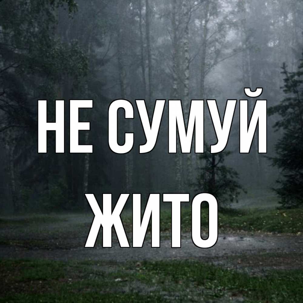 Открытка на каждый день з підписом, Жито Не сумуй осень Прикольна листівка з побажанням онлайн скачати безкоштовно 