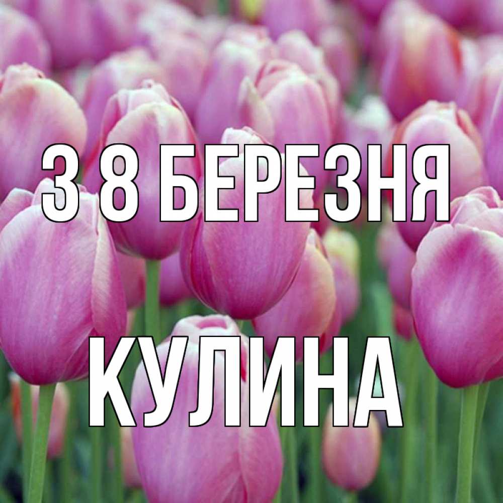 Открытка на каждый день з підписом, Кулина З 8 БЕРЕЗНЯ на международный женский день 3 Прикольна листівка з побажанням онлайн скачати безкоштовно 