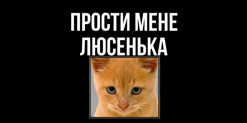 Открытка на каждый день з підписом, Люсенька Прости мене рыжий грустный кот просит прощения Прикольна листівка з побажанням онлайн скачати безкоштовно 