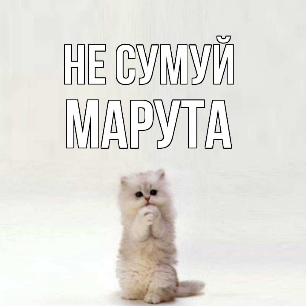 Открытка на каждый день з підписом, Марута Не сумуй грустный кот Прикольна листівка з побажанням онлайн скачати безкоштовно 