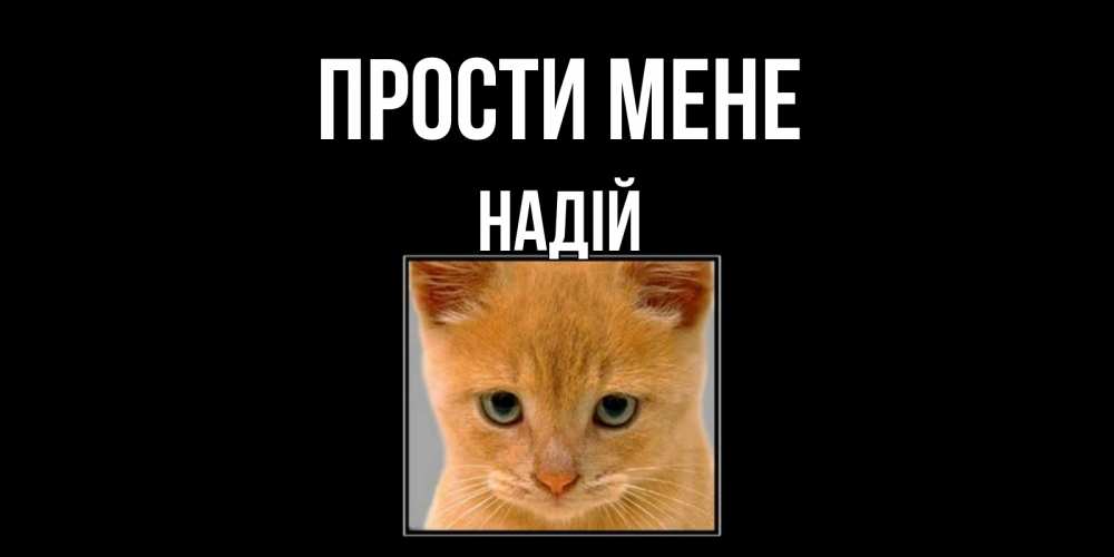 Открытка на каждый день з підписом, Надій Прости мене рыжий грустный кот просит прощения Прикольна листівка з побажанням онлайн скачати безкоштовно 