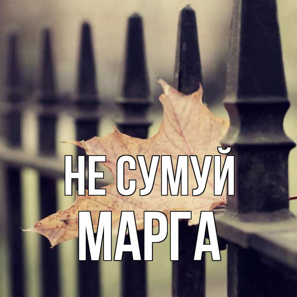 Открытка на каждый день з підписом, Марга Не сумуй лист клена Прикольна листівка з побажанням онлайн скачати безкоштовно 