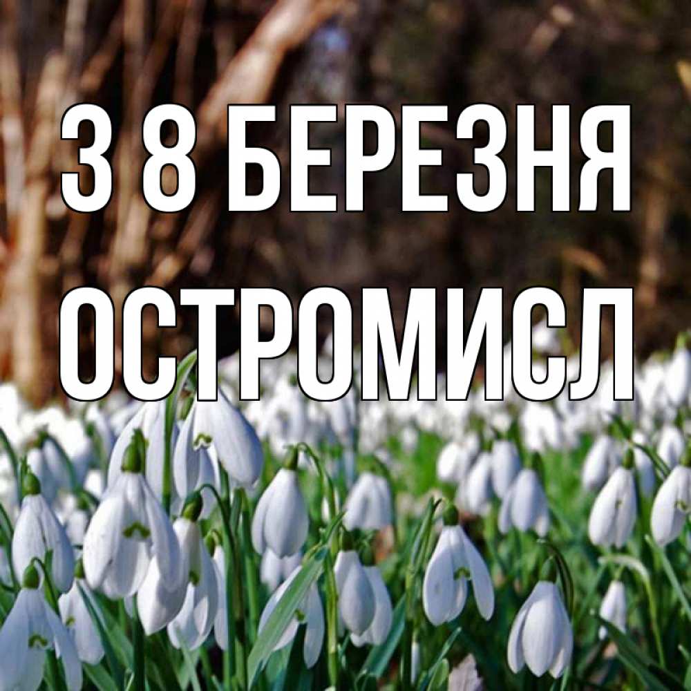 Открытка на каждый день з підписом, Остромисл З 8 БЕРЕЗНЯ с подснежниками 1 Прикольна листівка з побажанням онлайн скачати безкоштовно 