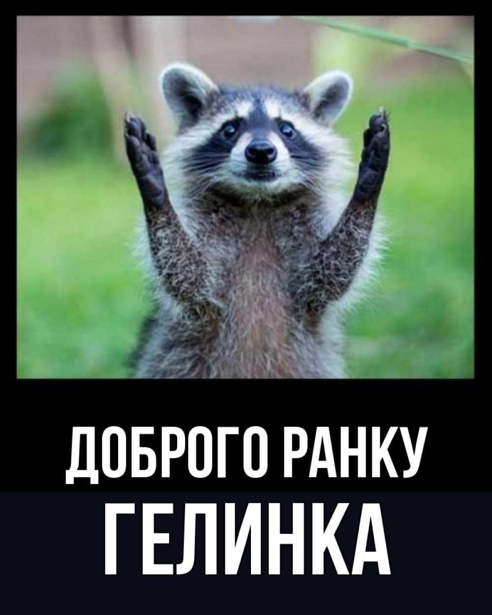 Открытка на каждый день з підписом, Гелинка Доброго ранку хорошее настроение утречком Прикольна листівка з побажанням онлайн скачати безкоштовно 