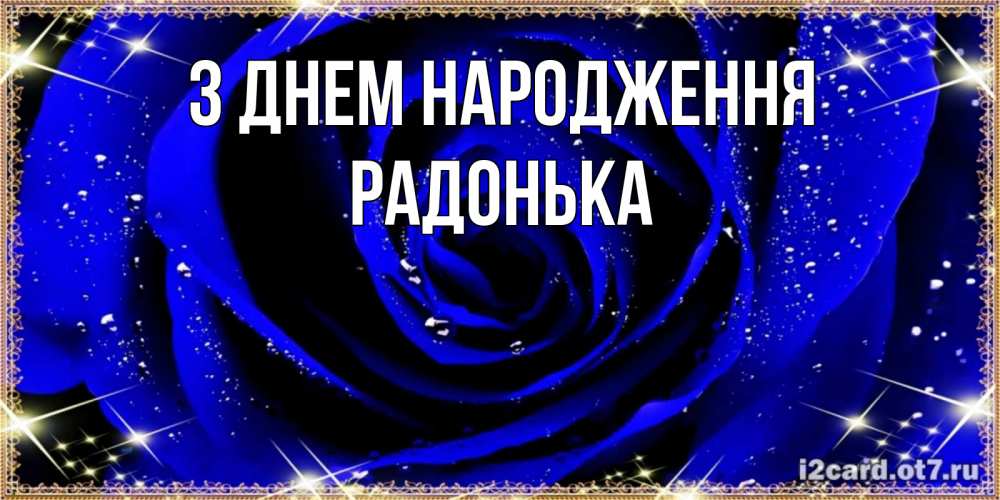 Открытка на каждый день з підписом, Радонька З Днем народження голубые цветы в росе Прикольна листівка з побажанням онлайн скачати безкоштовно 
