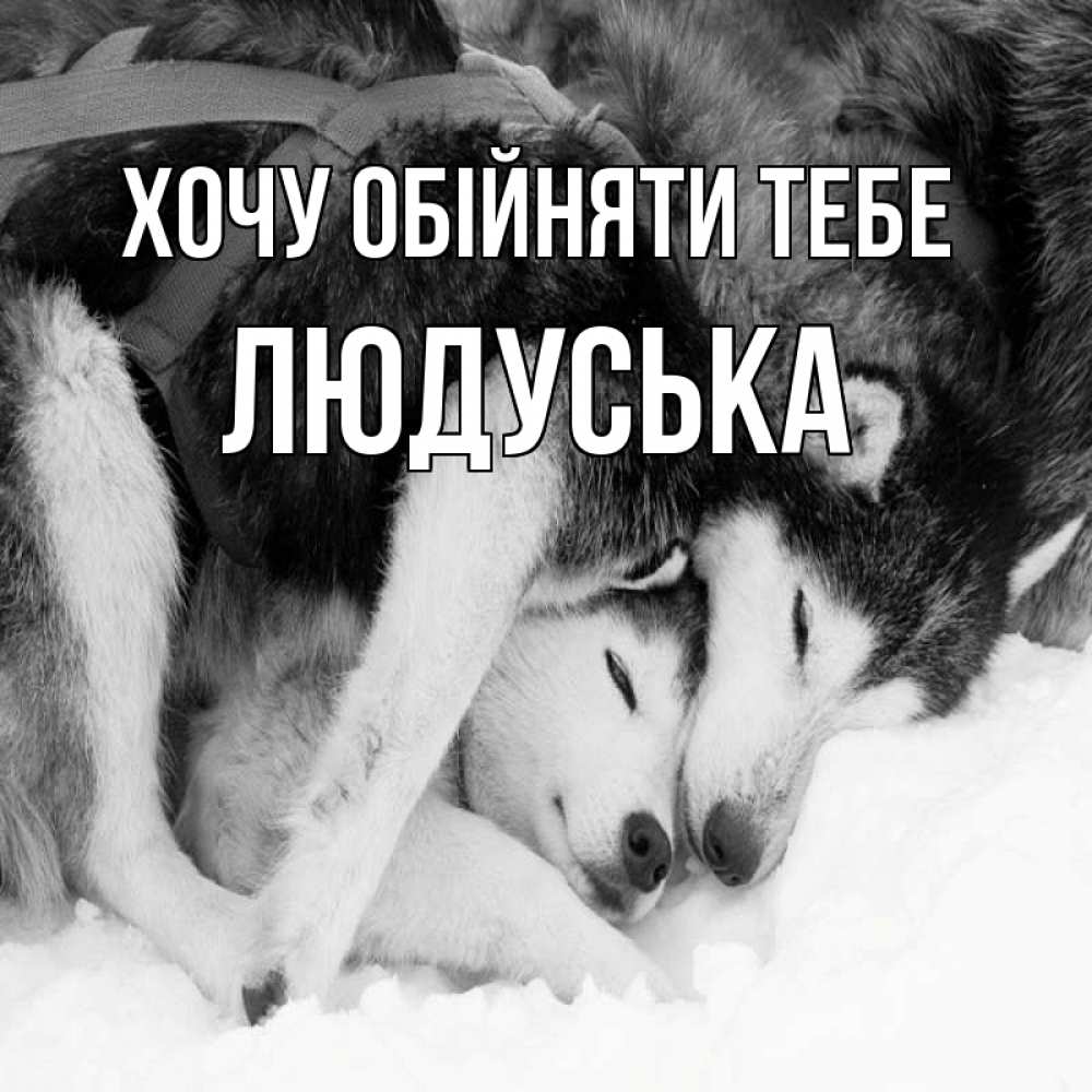 Открытка на каждый день з підписом, Людуська Хочу обійняти тебе собачки в упряжке Прикольна листівка з побажанням онлайн скачати безкоштовно 