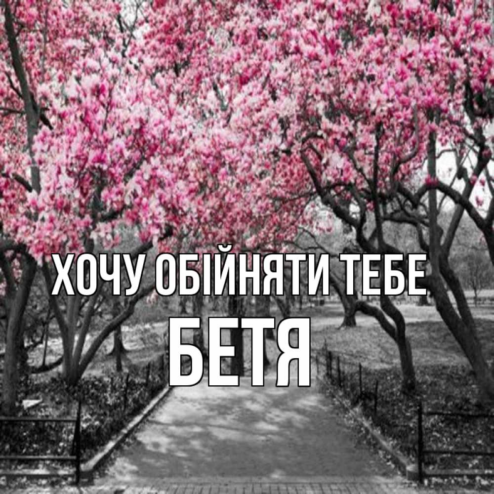 Открытка на каждый день з підписом, Бетя Хочу обійняти тебе обработанное фото Прикольна листівка з побажанням онлайн скачати безкоштовно 