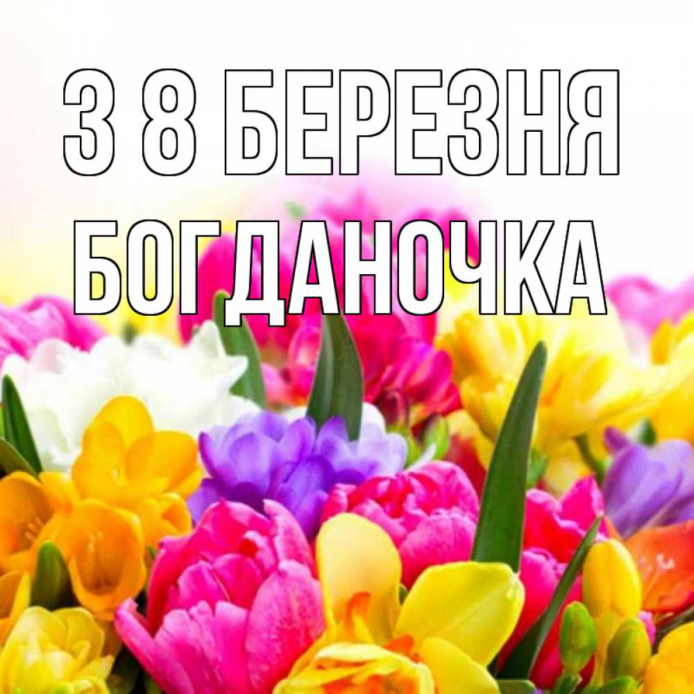 Открытка на каждый день з підписом, Богданочка З 8 БЕРЕЗНЯ тюльпаны Прикольна листівка з побажанням онлайн скачати безкоштовно 