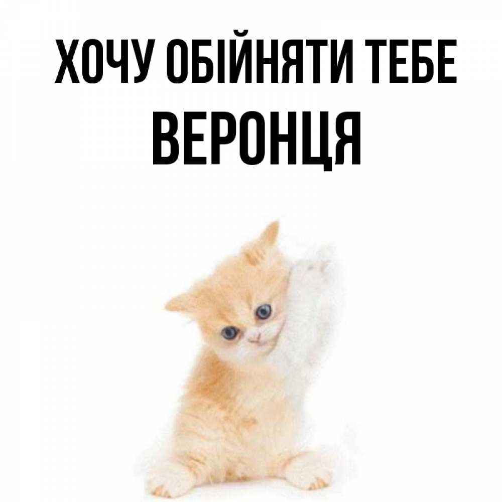 Открытка на каждый день з підписом, Веронця Хочу обійняти тебе я хочу очень скорее обнимаешек Прикольна листівка з побажанням онлайн скачати безкоштовно 