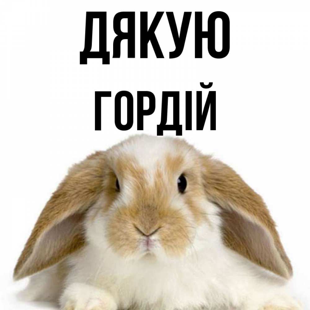 Открытка на каждый день з підписом, Гордій Дякую коричнево белый заяц Прикольна листівка з побажанням онлайн скачати безкоштовно 