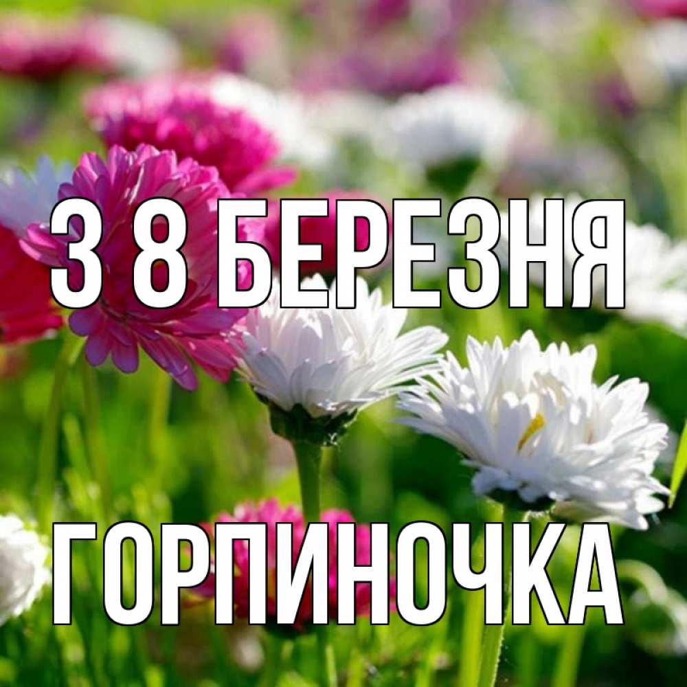 Открытка на каждый день з підписом, Горпиночка З 8 БЕРЕЗНЯ международный женский день 1 Прикольна листівка з побажанням онлайн скачати безкоштовно 
