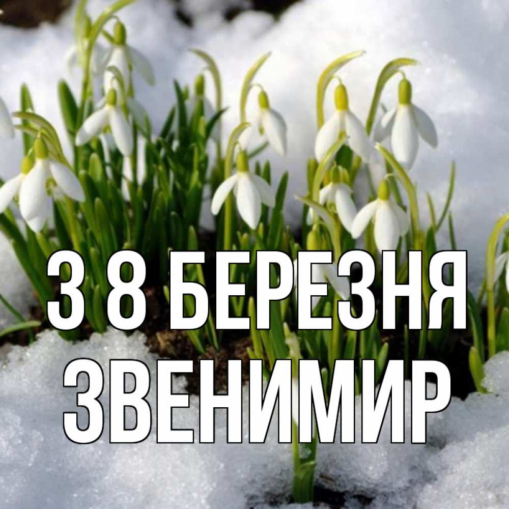 Открытка на каждый день з підписом, Звенимир З 8 БЕРЕЗНЯ цветы весенние Прикольна листівка з побажанням онлайн скачати безкоштовно 