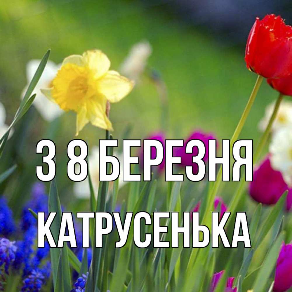 Открытка на каждый день з підписом, Катрусенька З 8 БЕРЕЗНЯ международный женский день 3 Прикольна листівка з побажанням онлайн скачати безкоштовно 