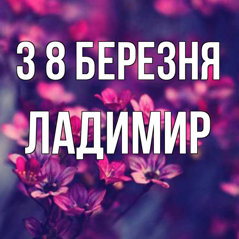 Открытка на каждый день з підписом, Ладимир З 8 БЕРЕЗНЯ небольшие цветы 1 Прикольна листівка з побажанням онлайн скачати безкоштовно 