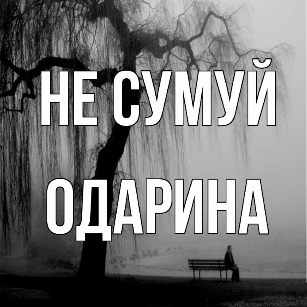 Открытка на каждый день з підписом, Одарина Не сумуй висящие ветки дерева и лавочка под деревом Прикольна листівка з побажанням онлайн скачати безкоштовно 