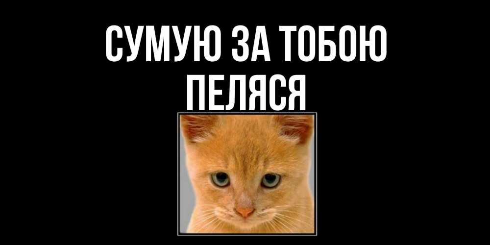 Открытка на каждый день з підписом, Пеляся Сумую за тобою открытки рыжий котенок скучает по тебе Прикольна листівка з побажанням онлайн скачати безкоштовно 