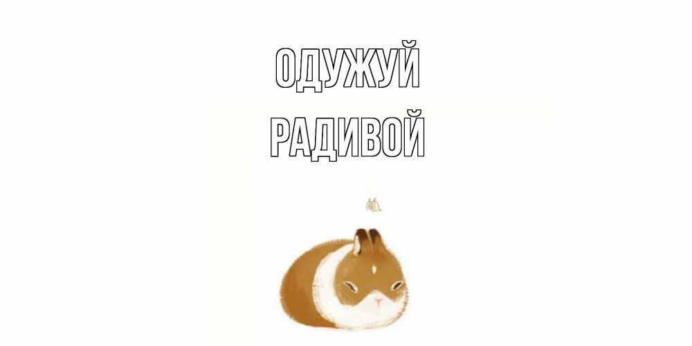 Открытка на каждый день з підписом, Радивой Одужуй морская свинка на открытке с пожеланиями не болеть Прикольна листівка з побажанням онлайн скачати безкоштовно 