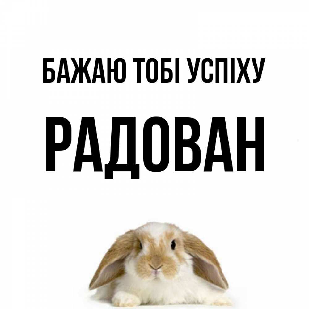 Открытка на каждый день з підписом, Радован Бажаю тобі успіху открытки с произвольным текстом который можно вставить в открытку и создать ее самостоятельно бесплатно онлайн Прикольна листівка з побажанням онлайн скачати безкоштовно 