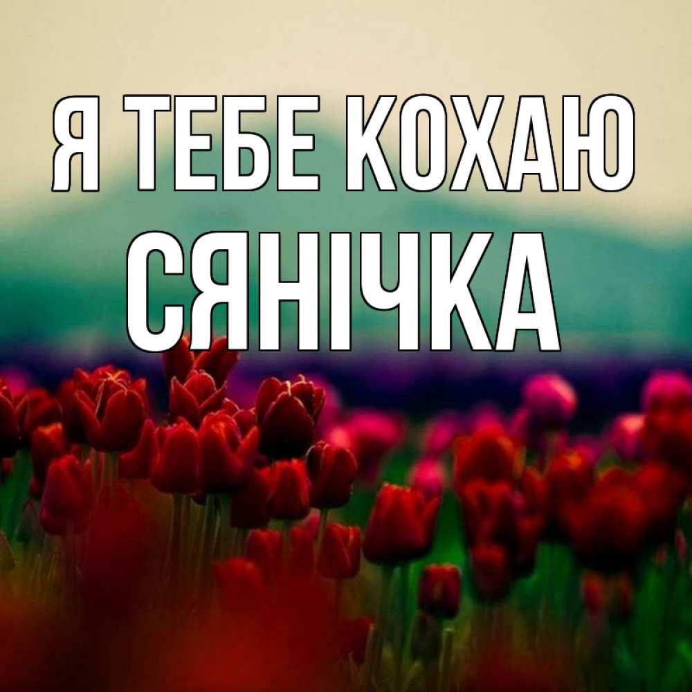 Открытка на каждый день з підписом, Сянічка Я тебе кохаю тюльпаны 4 Прикольна листівка з побажанням онлайн скачати безкоштовно 