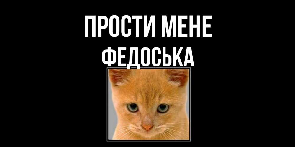 Открытка на каждый день з підписом, Федоська Прости мене рыжий грустный кот просит прощения Прикольна листівка з побажанням онлайн скачати безкоштовно 
