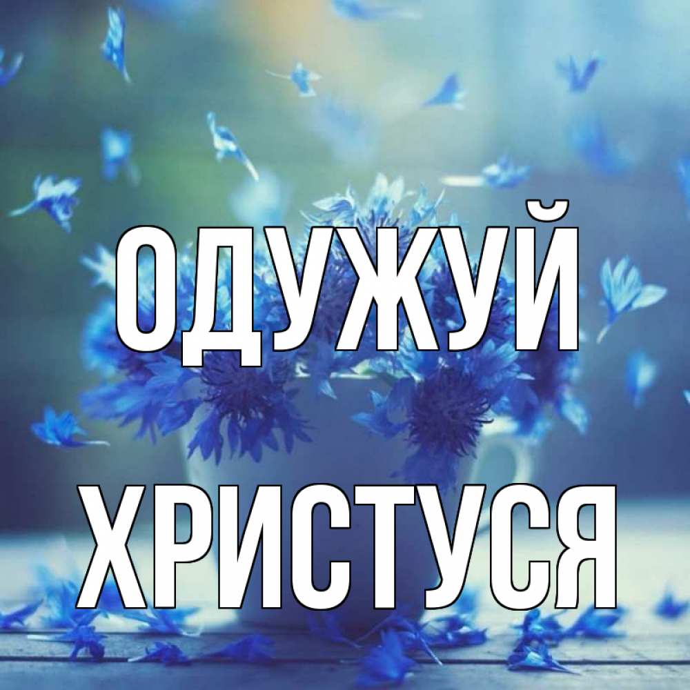 Открытка на каждый день з підписом, Христуся Одужуй кружка с зельем и цветами Прикольна листівка з побажанням онлайн скачати безкоштовно 