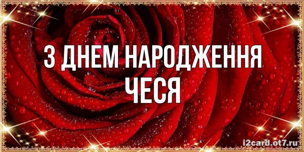 Открытка на каждый день з підписом, Чеся З Днем народження роса на розе блестящая в лучах солнца Прикольна листівка з побажанням онлайн скачати безкоштовно 