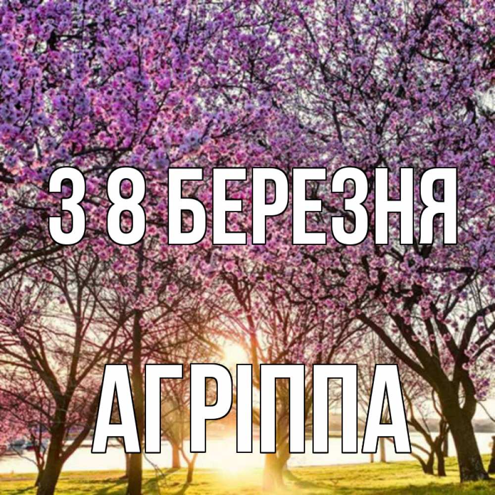 Открытка на каждый день з підписом, Агріппа З 8 БЕРЕЗНЯ международный женский день Прикольна листівка з побажанням онлайн скачати безкоштовно 