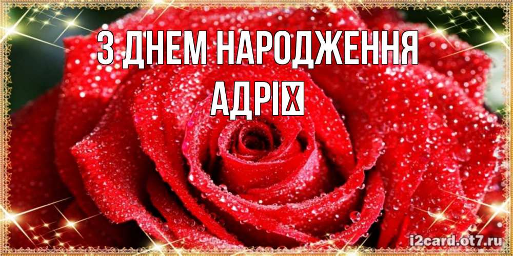 Открытка на каждый день з підписом, Адрії З Днем народження роса и роза. открытка с красивой розой Прикольна листівка з побажанням онлайн скачати безкоштовно 