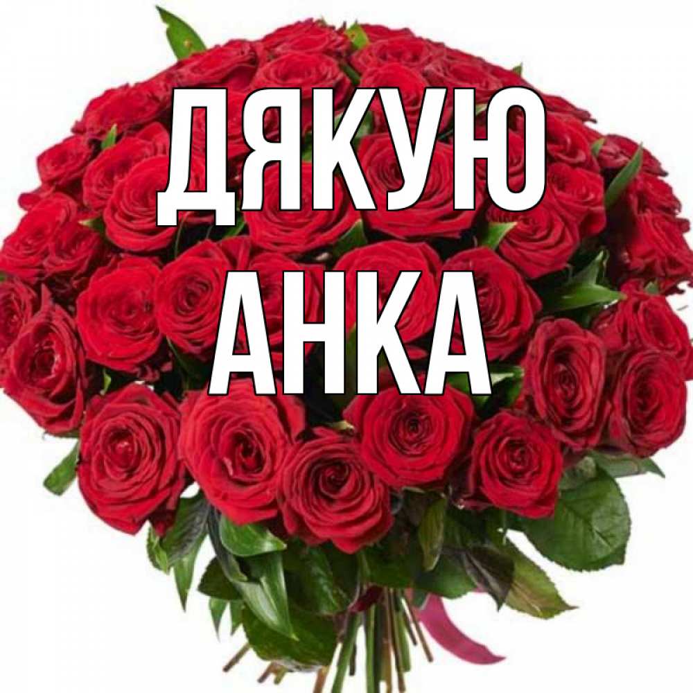 Открытка на каждый день з підписом, Анка Дякую букет красных роз Прикольна листівка з побажанням онлайн скачати безкоштовно 