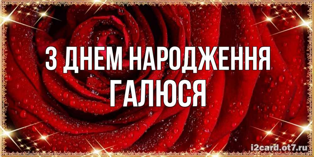 Открытка на каждый день з підписом, Галюся З Днем народження роса на розе блестящая в лучах солнца Прикольна листівка з побажанням онлайн скачати безкоштовно 