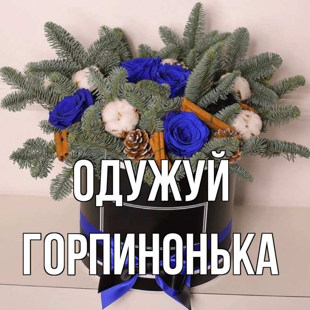 Открытка на каждый день з підписом, Горпинонька Одужуй короче кто то загрузил эти шишки Прикольна листівка з побажанням онлайн скачати безкоштовно 