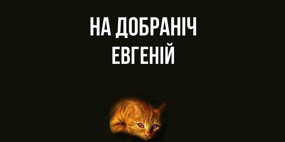 Открытка на каждый день з підписом, Евгеній На добраніч кот Прикольна листівка з побажанням онлайн скачати безкоштовно 