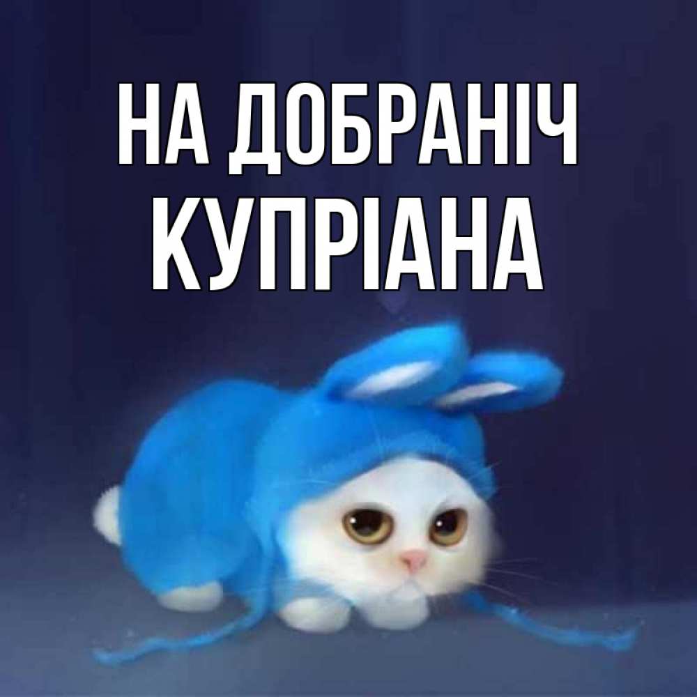 Открытка на каждый день з підписом, Купріана На добраніч кот в голубом костюме кролика с ушками Прикольна листівка з побажанням онлайн скачати безкоштовно 