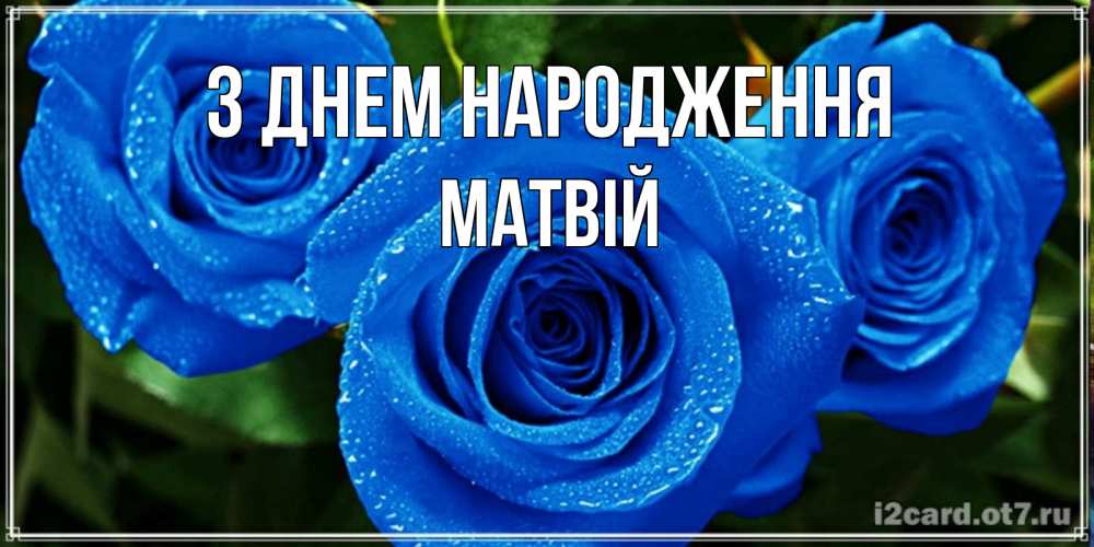 Открытка на каждый день з підписом, Матвій З Днем народження розы с синим цветом Прикольна листівка з побажанням онлайн скачати безкоштовно 