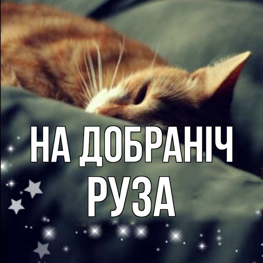 Открытка на каждый день з підписом, Руза На добраніч кроватка Прикольна листівка з побажанням онлайн скачати безкоштовно 
