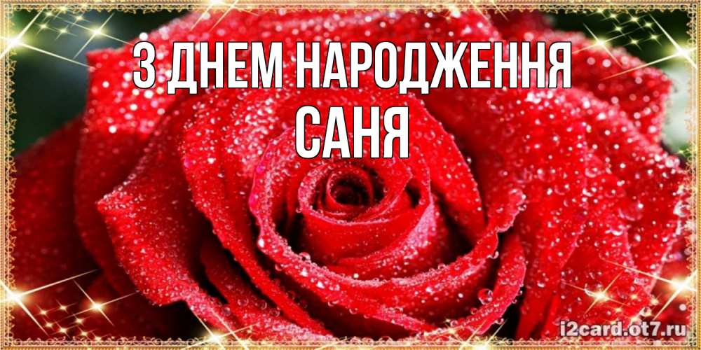 Открытка на каждый день з підписом, Саня З Днем народження роса и роза. открытка с красивой розой Прикольна листівка з побажанням онлайн скачати безкоштовно 