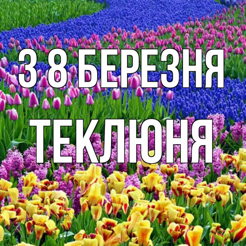 Открытка на каждый день з підписом, Теклюня З 8 БЕРЕЗНЯ цветы Прикольна листівка з побажанням онлайн скачати безкоштовно 