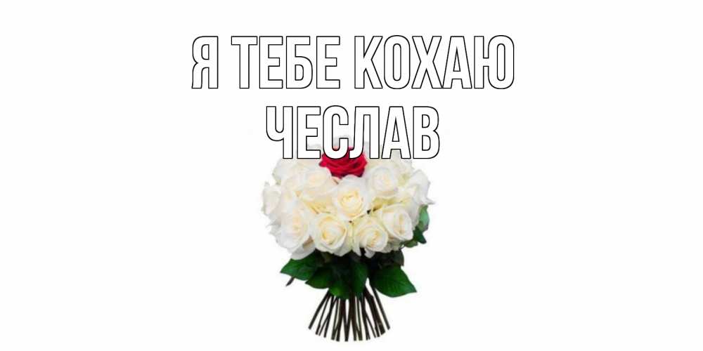 Открытка на каждый день з підписом, Чеслав Я тебе кохаю единственная Прикольна листівка з побажанням онлайн скачати безкоштовно 