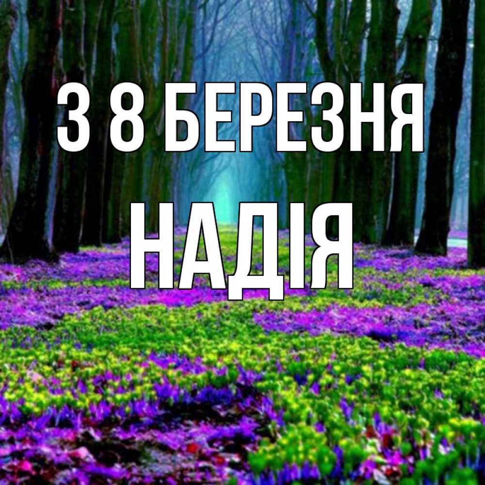 Открытка на каждый день з підписом, Надія З 8 БЕРЕЗНЯ фиолетовые цветы в лесу 1 Прикольна листівка з побажанням онлайн скачати безкоштовно 