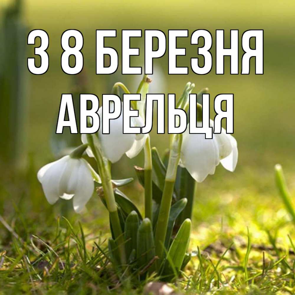Открытка на каждый день з підписом, Аврельця З 8 БЕРЕЗНЯ ранние цветы 2 Прикольна листівка з побажанням онлайн скачати безкоштовно 