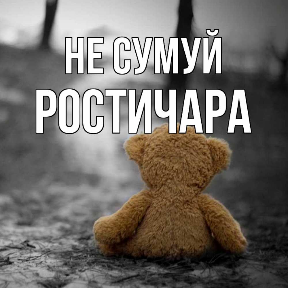 Открытка на каждый день з підписом, Ростичара Не сумуй медведь со спин Прикольна листівка з побажанням онлайн скачати безкоштовно 