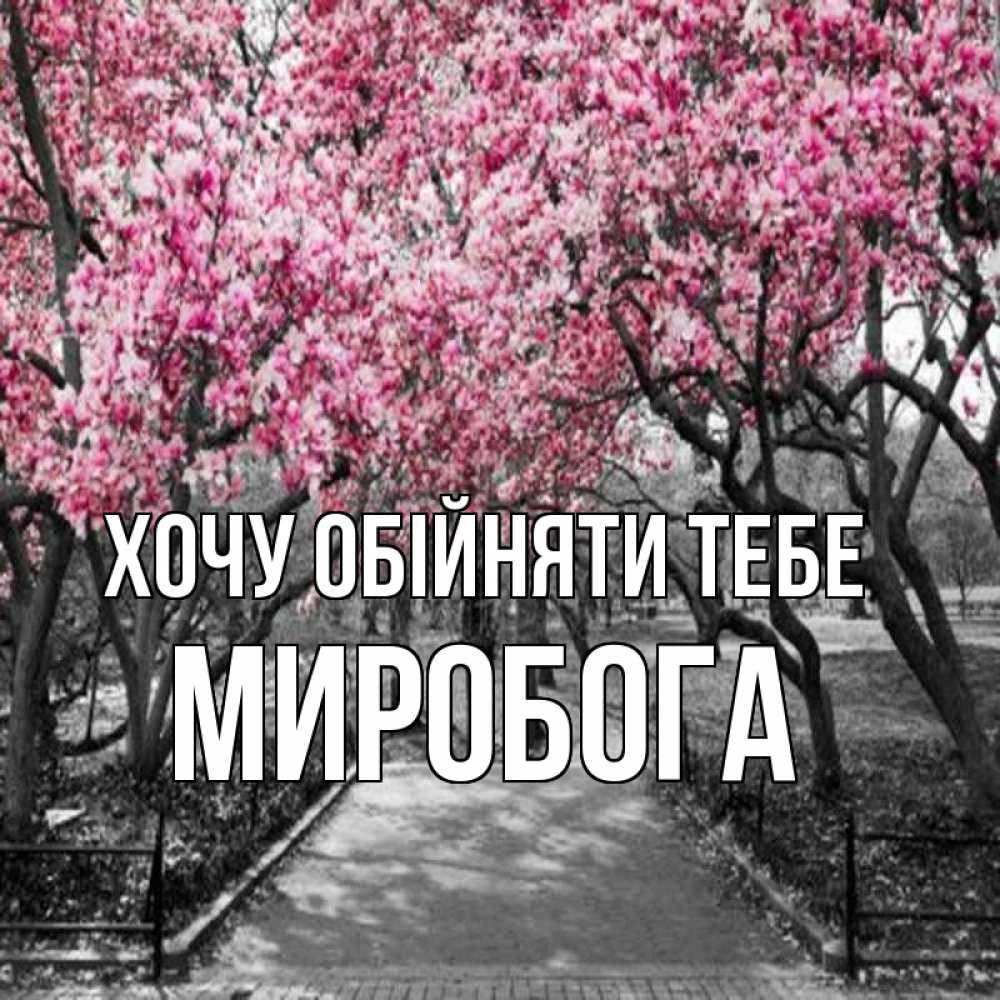 Открытка на каждый день з підписом, Миробога Хочу обійняти тебе обработанное фото Прикольна листівка з побажанням онлайн скачати безкоштовно 