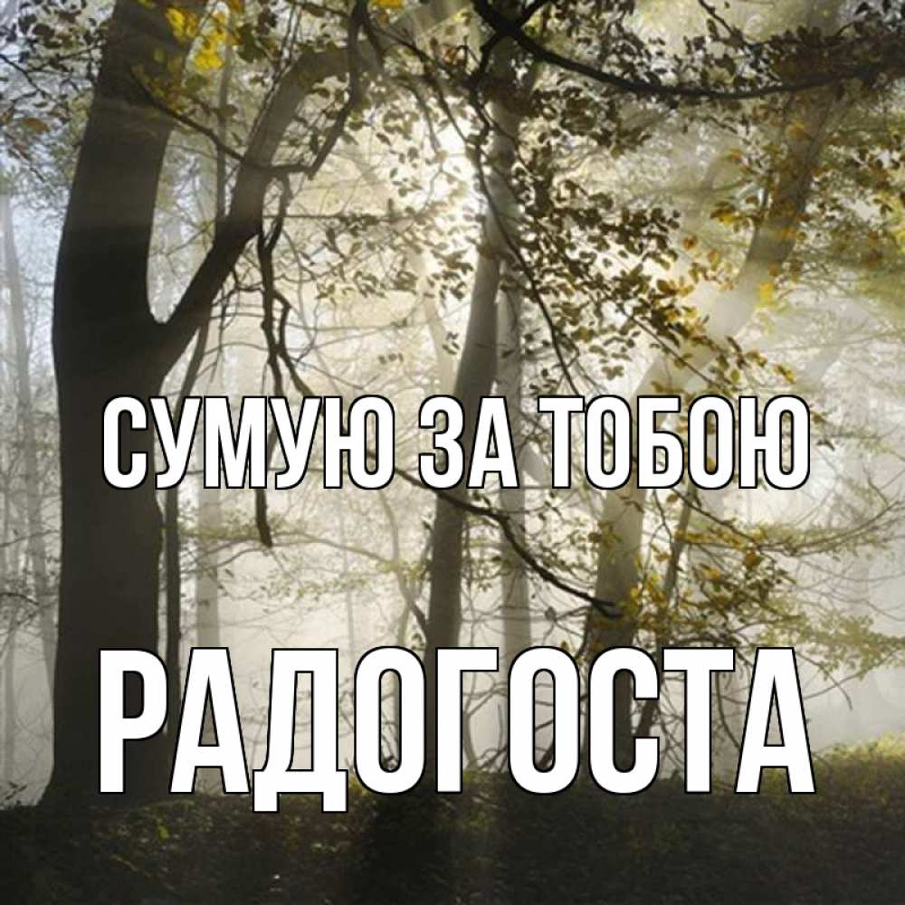 Открытка на каждый день з підписом, Радогоста Сумую за тобою грустно Прикольна листівка з побажанням онлайн скачати безкоштовно 