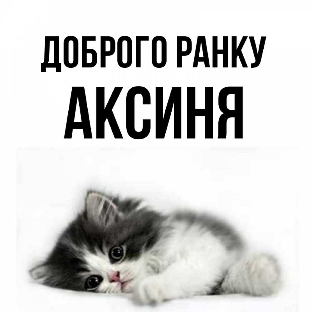 Открытка на каждый день з підписом, Аксиня Доброго ранку кот лапки Прикольна листівка з побажанням онлайн скачати безкоштовно 